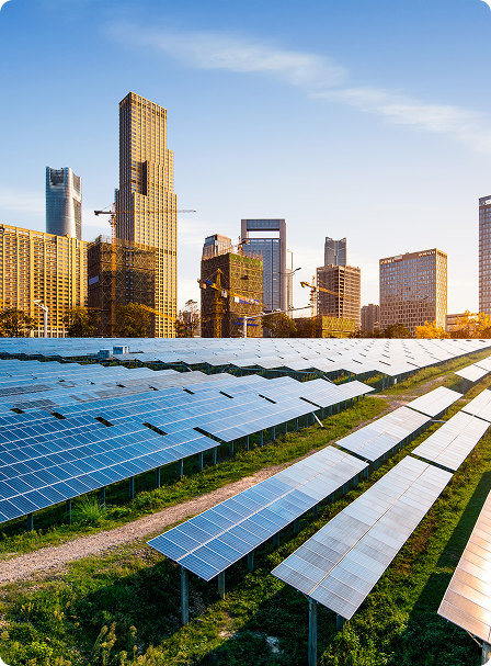 image3 3 &raquo; Green Gold GDP image3 3